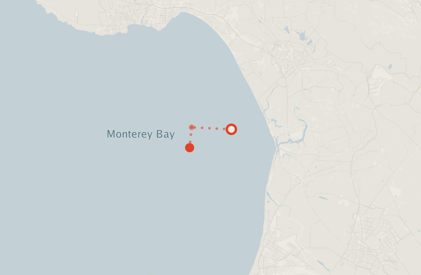 Activity map — real sighting points on an OpenStreetMap basemap