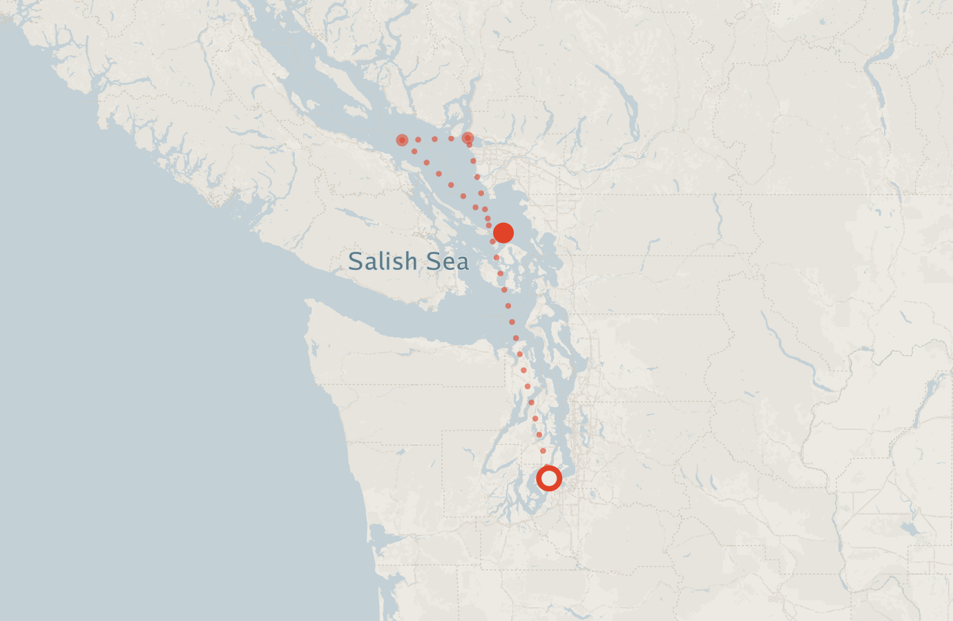 Activity map — real sighting points on an OpenStreetMap basemap