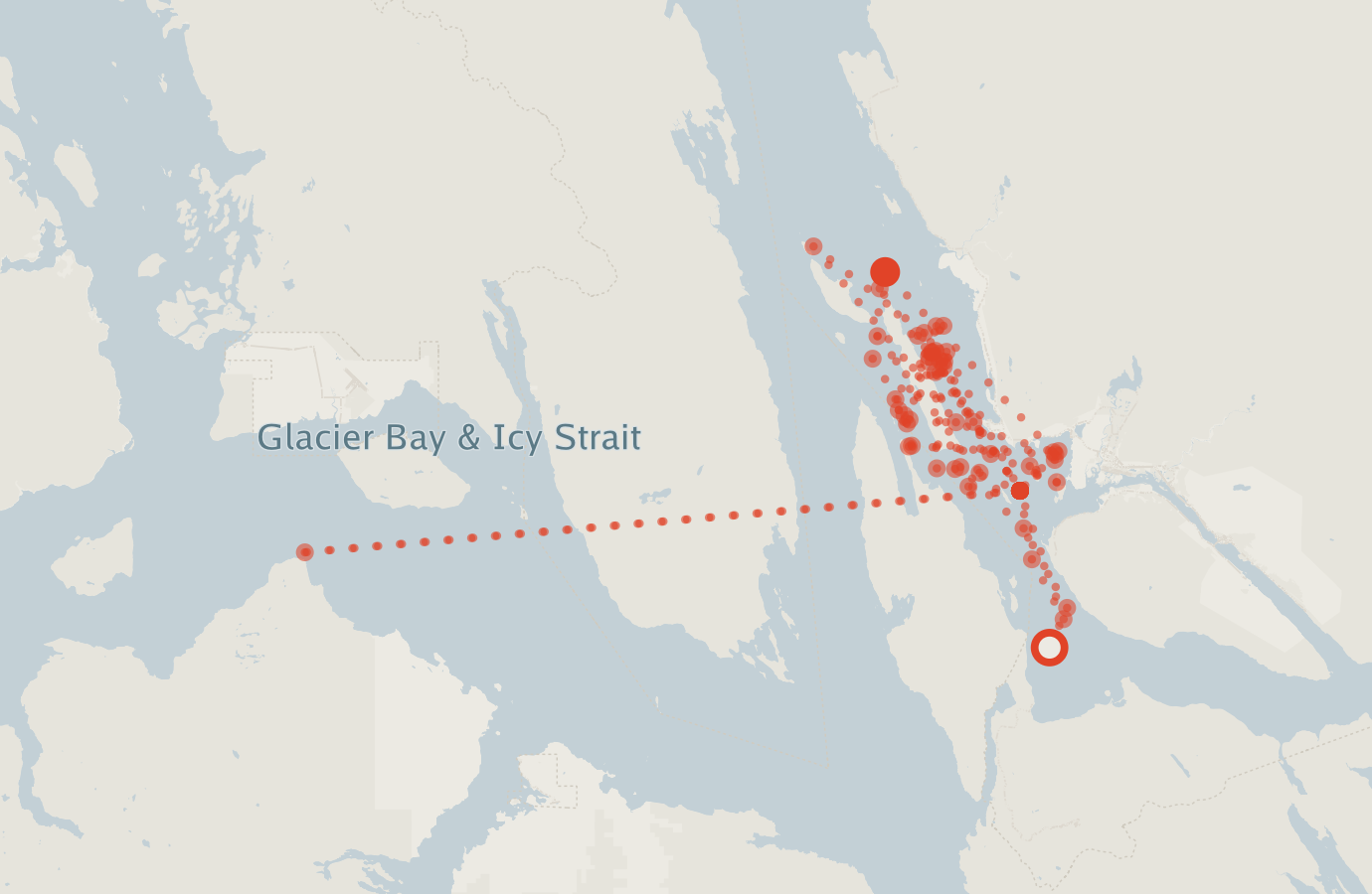 Activity map — real sighting points on an OpenStreetMap basemap