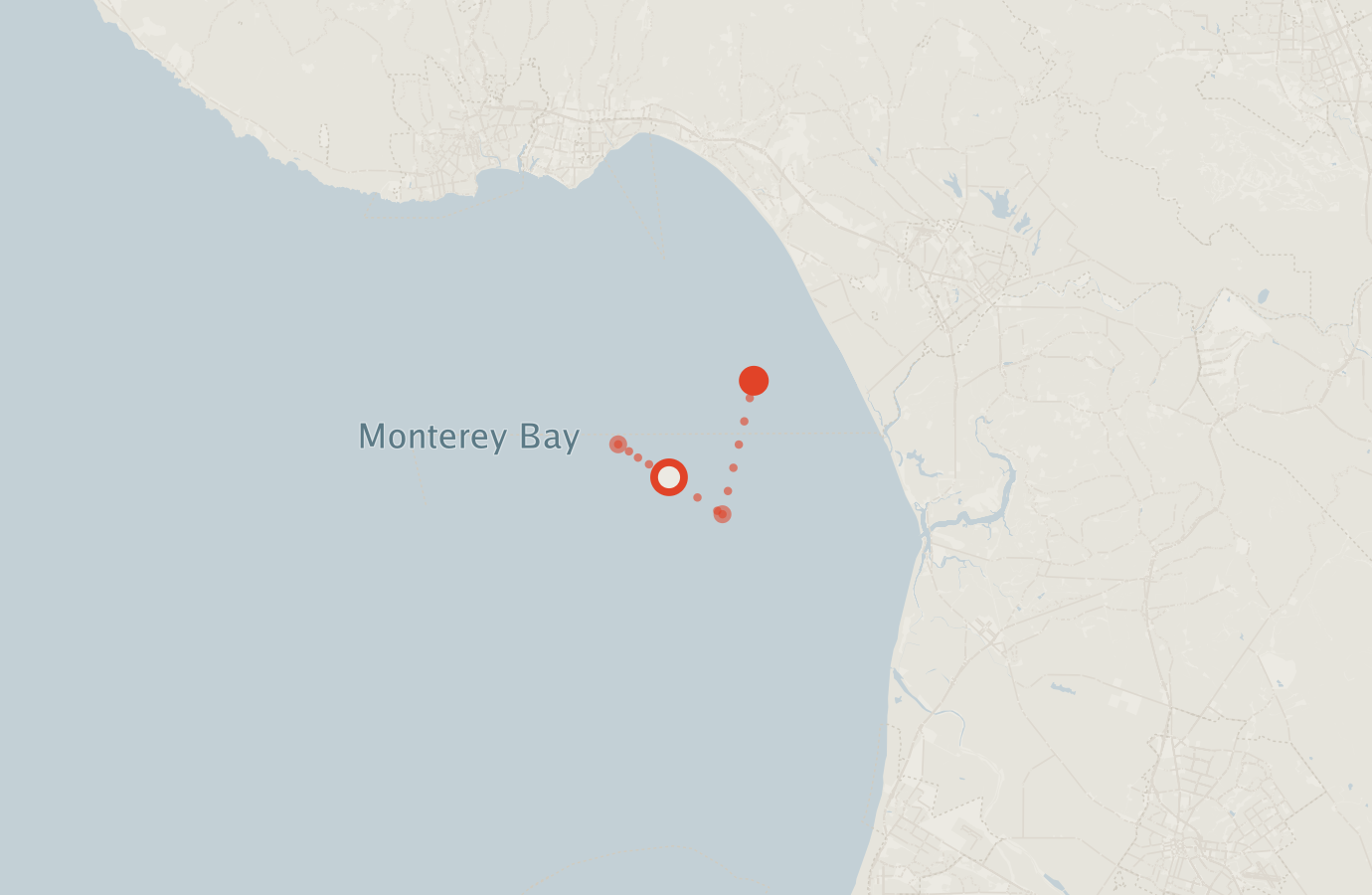 Activity map — real sighting points on an OpenStreetMap basemap