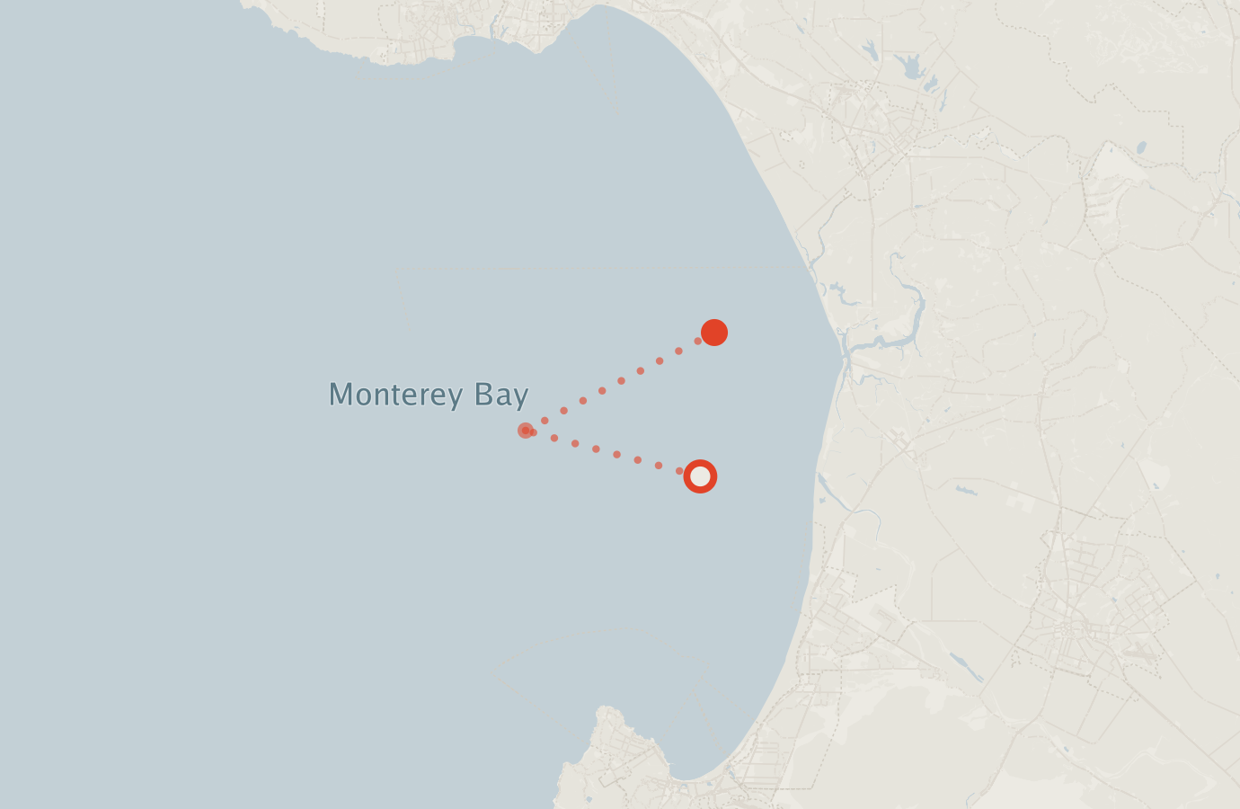 Activity map — real sighting points on an OpenStreetMap basemap
