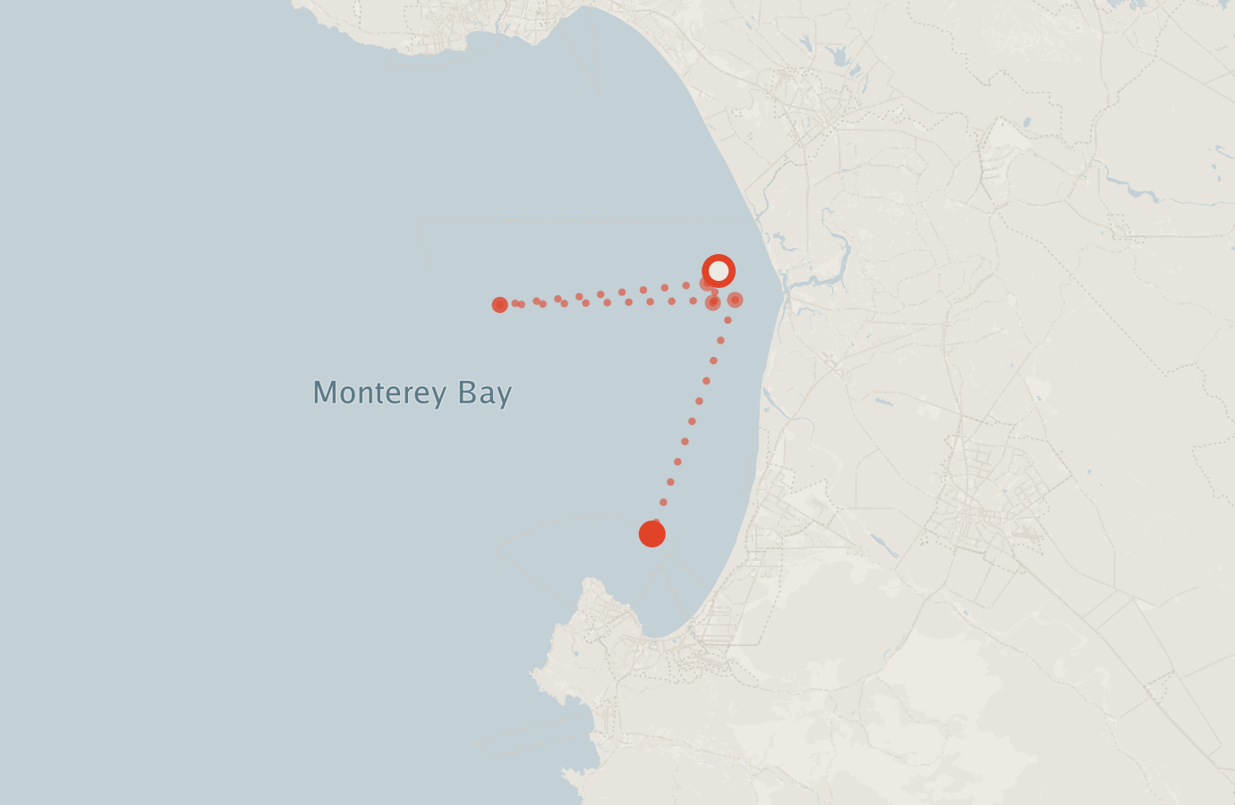 Activity map — real sighting points on an OpenStreetMap basemap