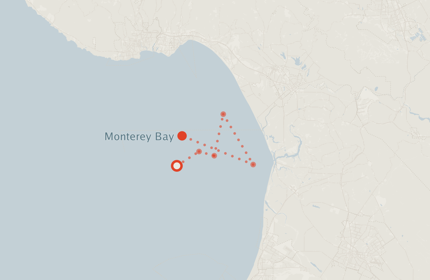 Activity map — real sighting points on an OpenStreetMap basemap