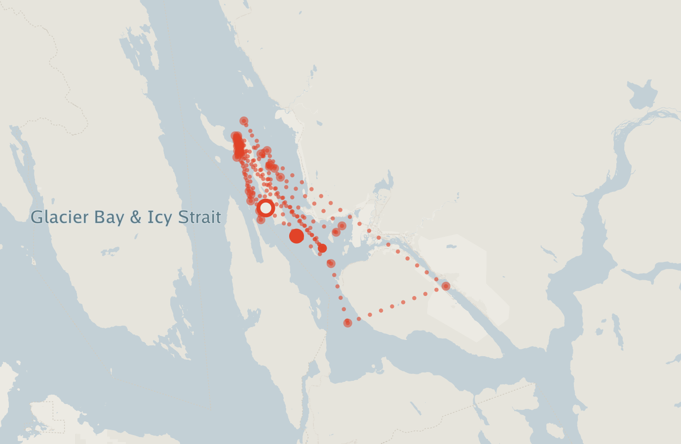 Activity map — real sighting points on an OpenStreetMap basemap