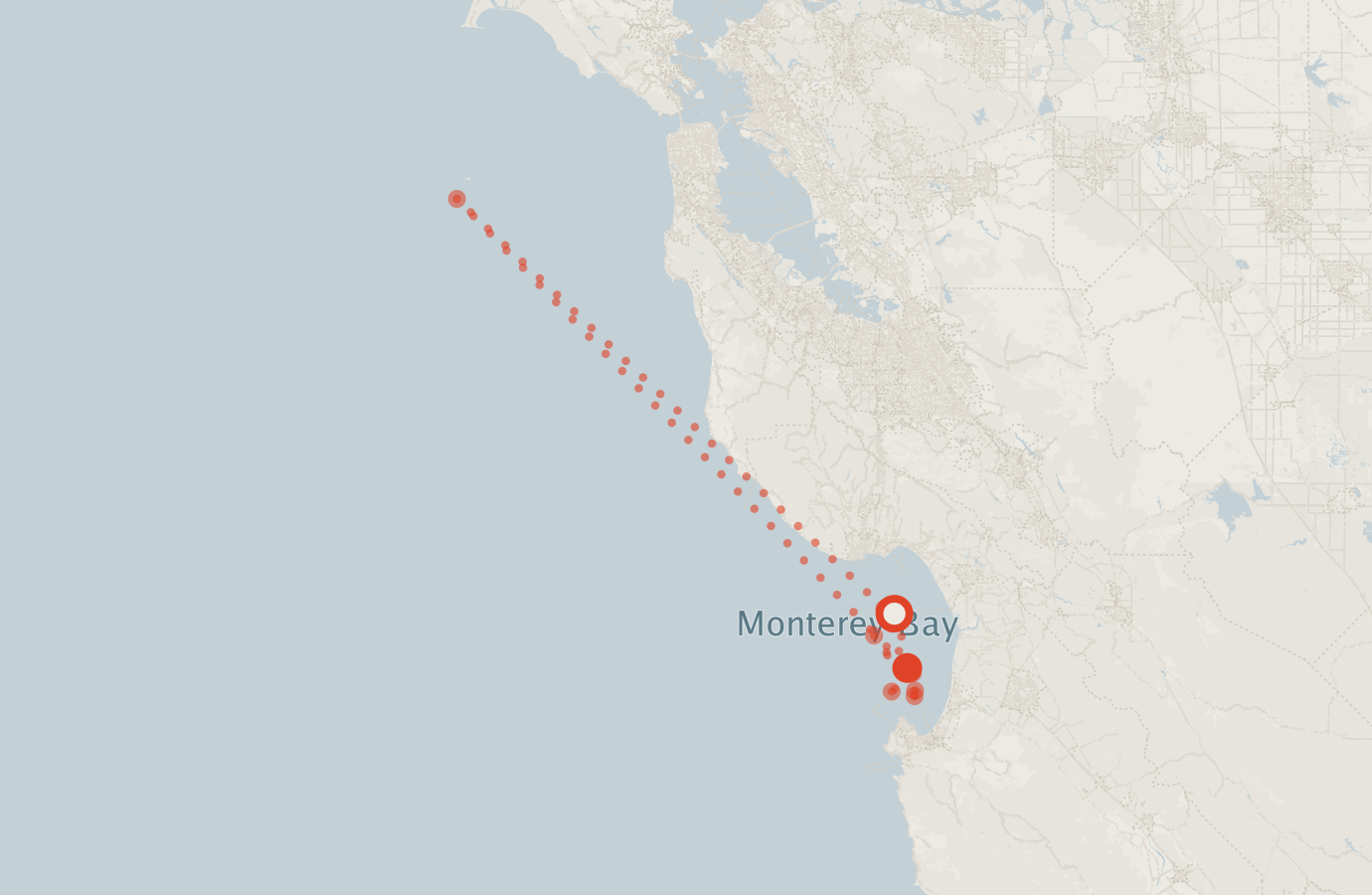 Activity map — real sighting points on an OpenStreetMap basemap