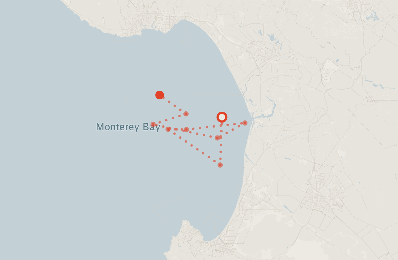 Activity map — real sighting points on an OpenStreetMap basemap