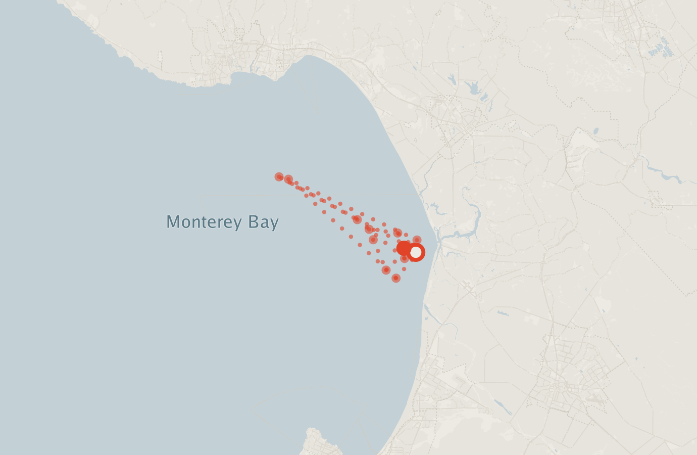 Activity map — real sighting points on an OpenStreetMap basemap