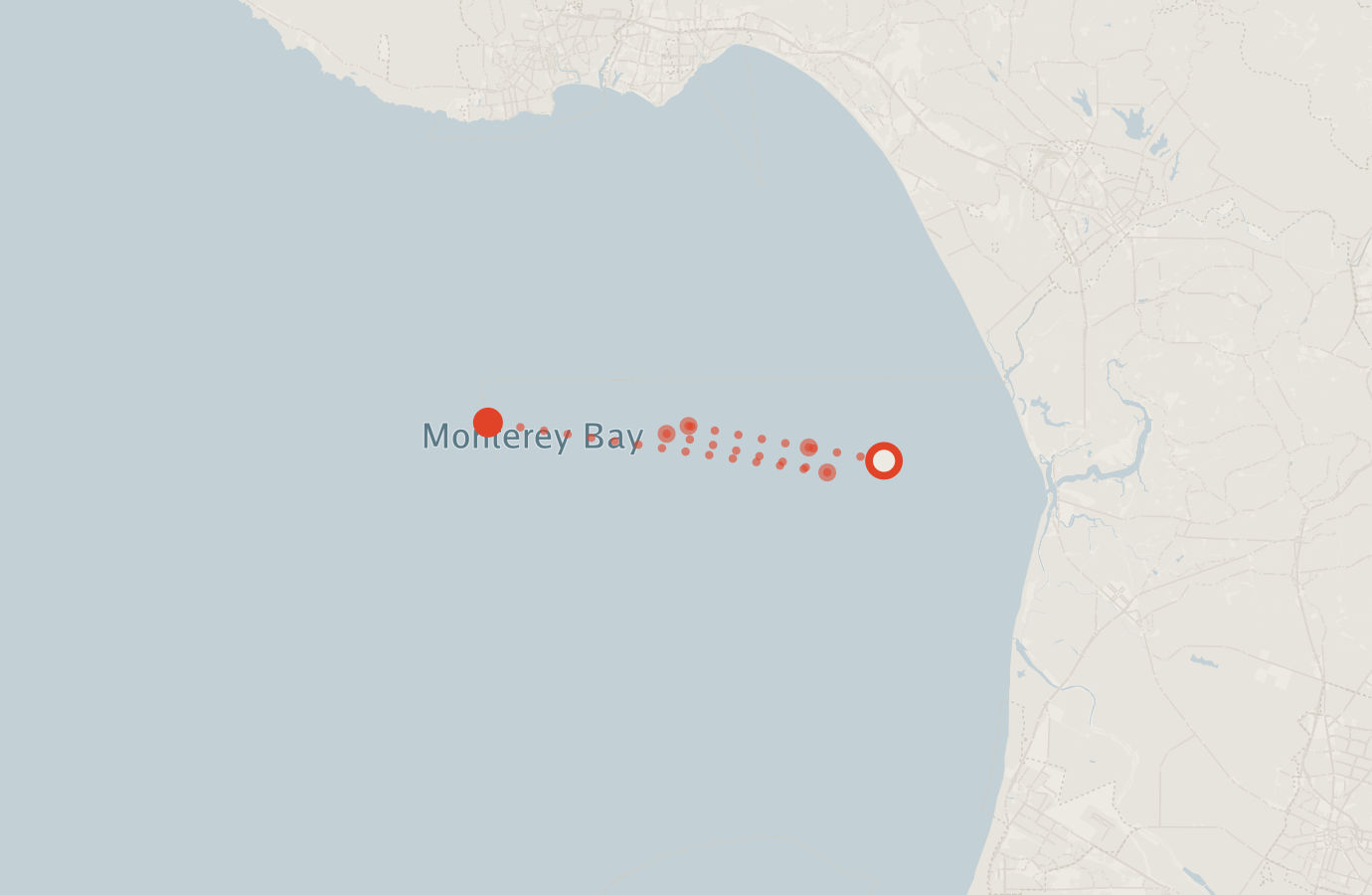 Activity map — real sighting points on an OpenStreetMap basemap