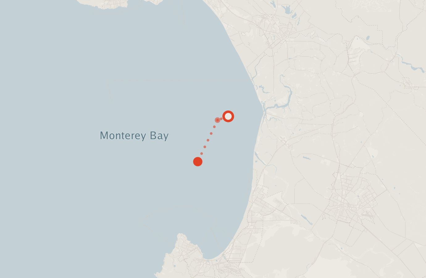 Activity map — real sighting points on an OpenStreetMap basemap