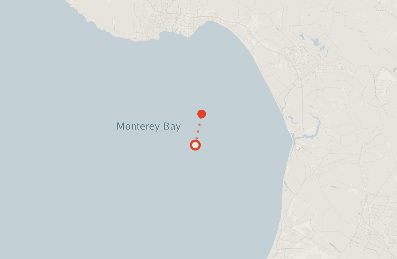Activity map — real sighting points on an OpenStreetMap basemap