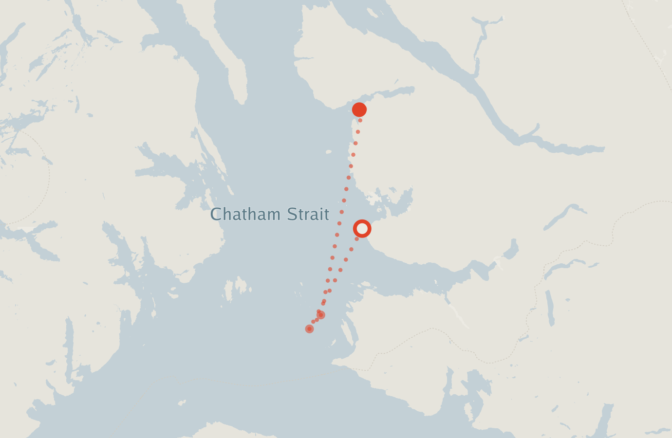 Activity map — real sighting points on an OpenStreetMap basemap