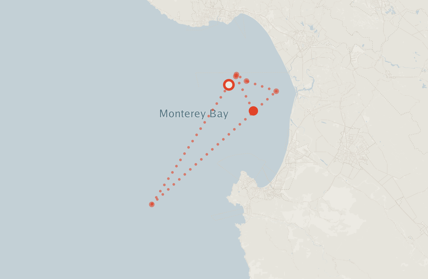 Activity map — real sighting points on an OpenStreetMap basemap