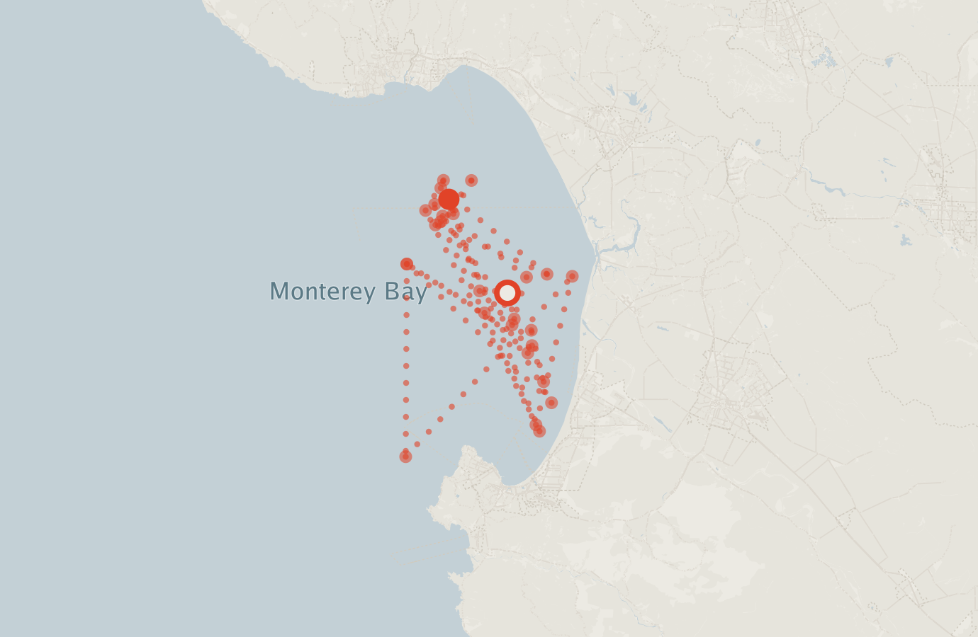 Activity map — real sighting points on an OpenStreetMap basemap