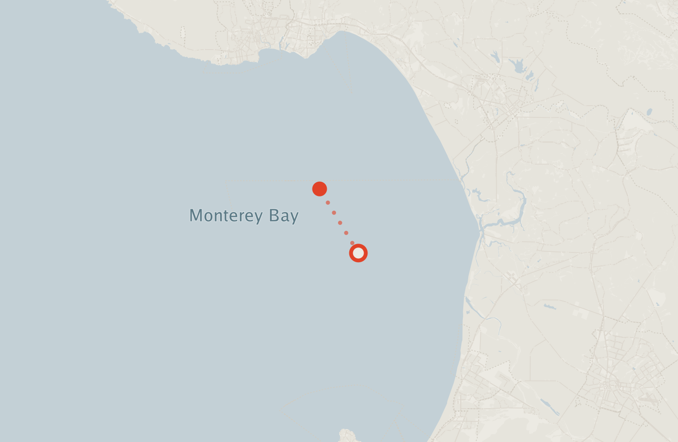 Activity map — real sighting points on an OpenStreetMap basemap