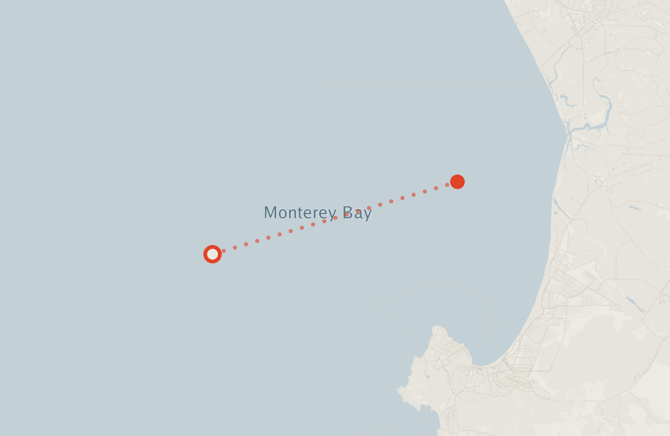 Activity map — real sighting points on an OpenStreetMap basemap
