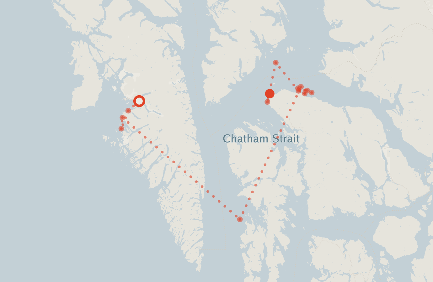 Activity map — real sighting points on an OpenStreetMap basemap