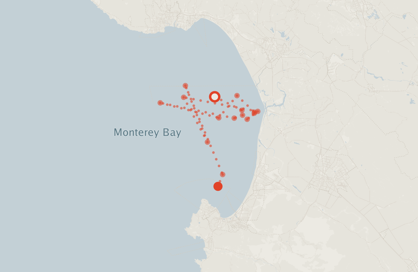 Activity map — real sighting points on an OpenStreetMap basemap