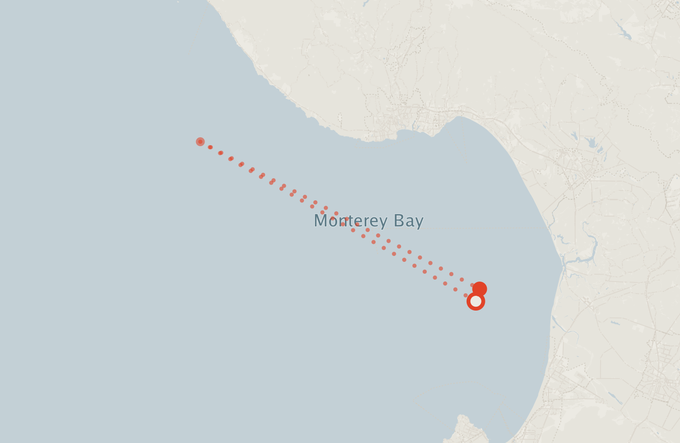 Activity map — real sighting points on an OpenStreetMap basemap