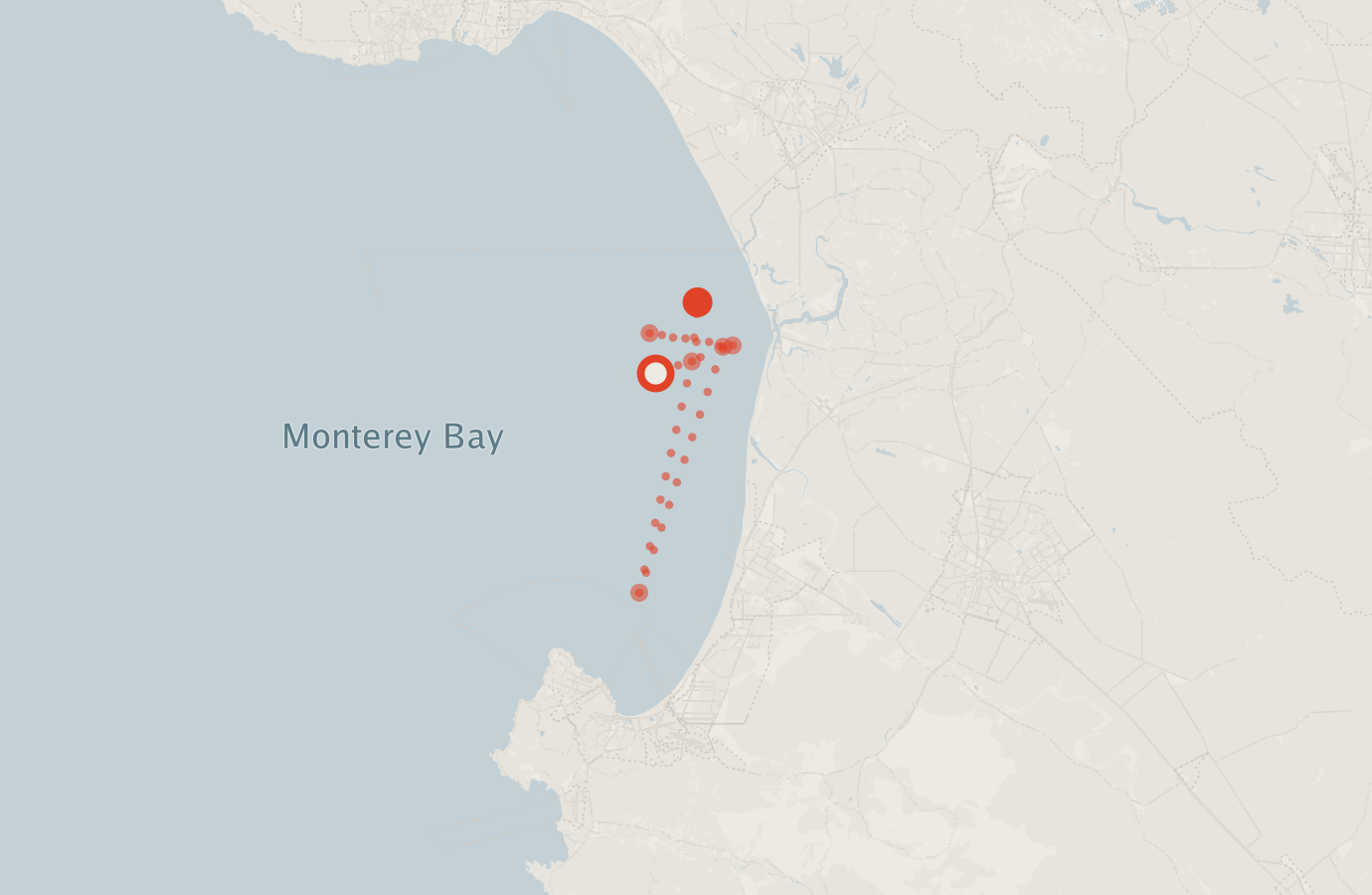 Activity map — real sighting points on an OpenStreetMap basemap