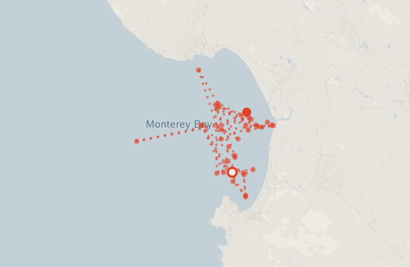 Activity map — real sighting points on an OpenStreetMap basemap