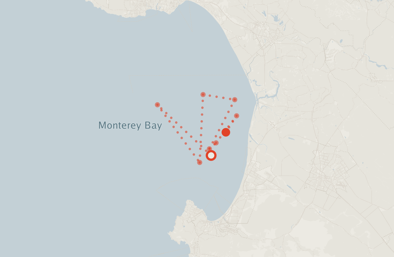 Activity map — real sighting points on an OpenStreetMap basemap