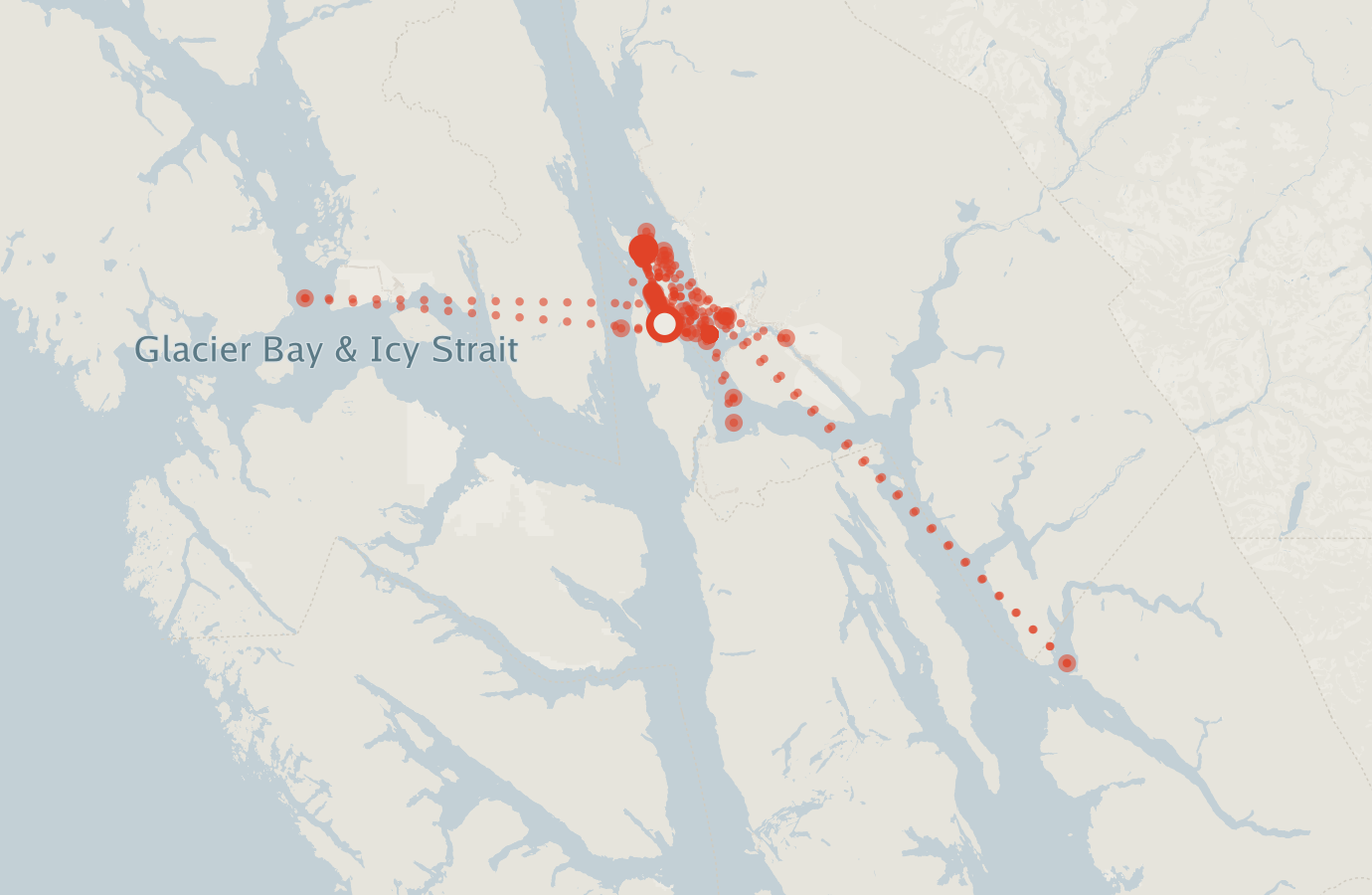 Activity map — real sighting points on an OpenStreetMap basemap