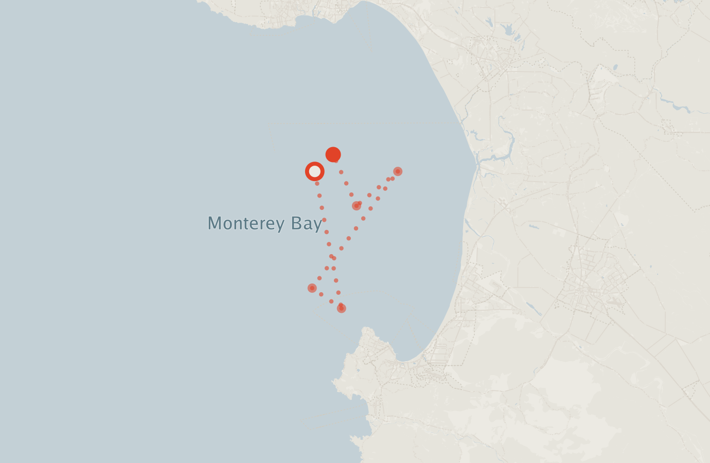 Activity map — real sighting points on an OpenStreetMap basemap