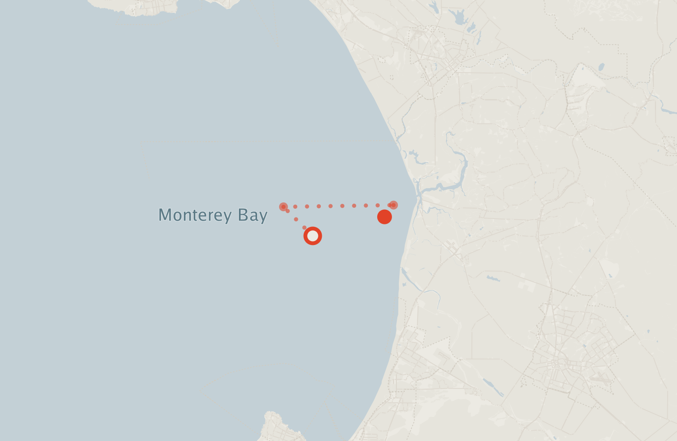 Activity map — real sighting points on an OpenStreetMap basemap