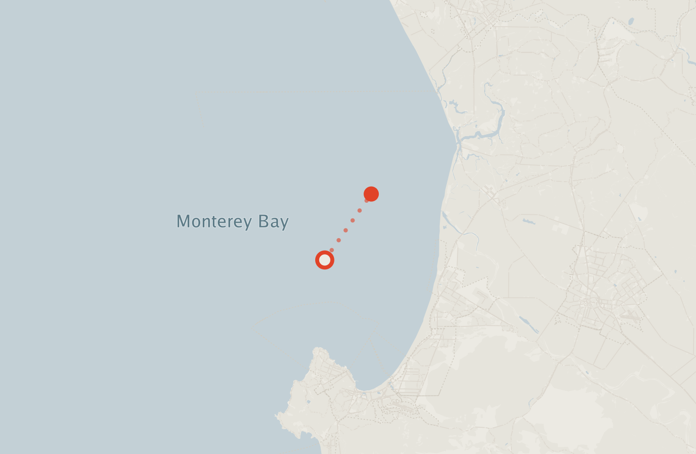 Activity map — real sighting points on an OpenStreetMap basemap