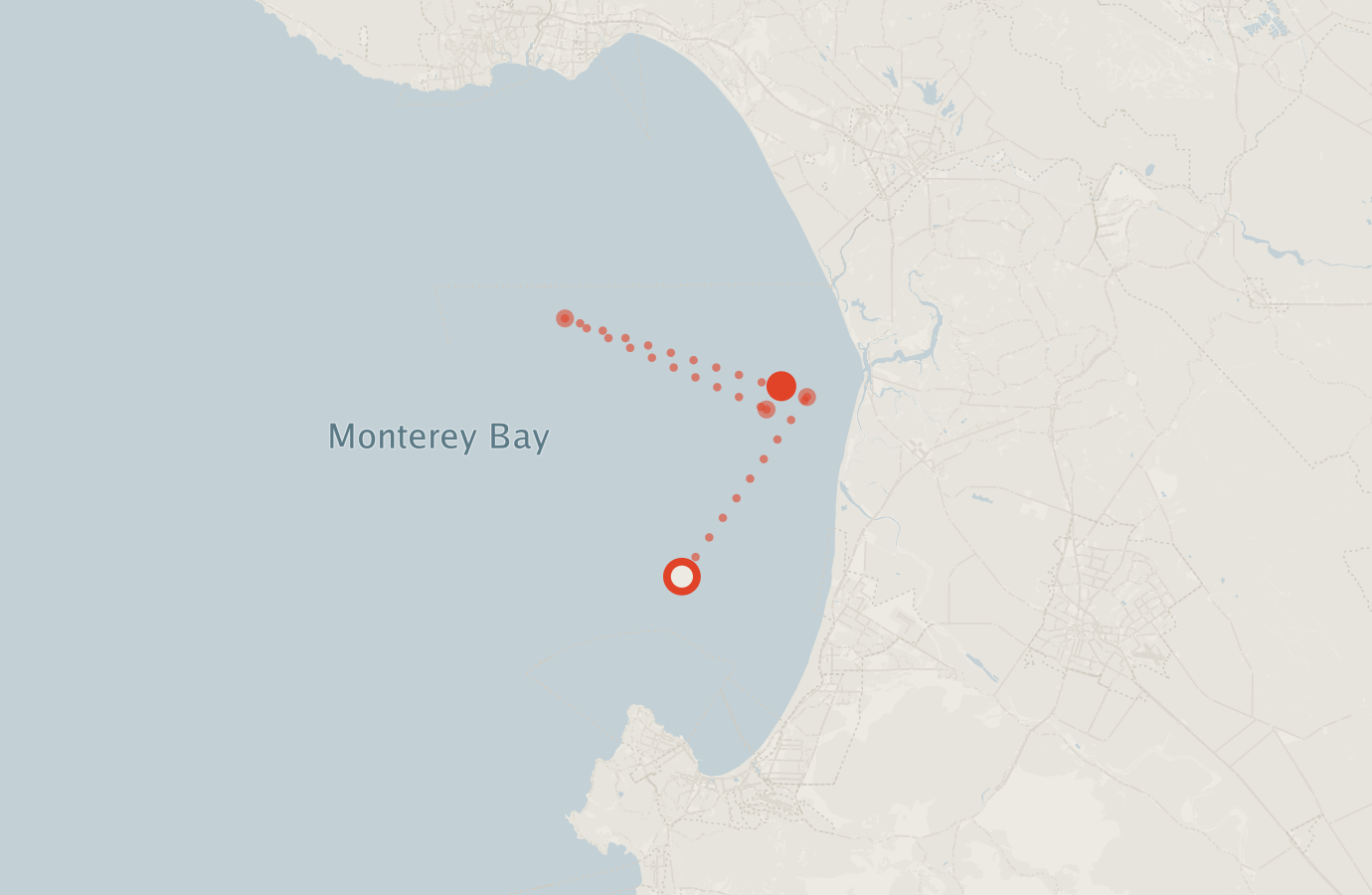 Activity map — real sighting points on an OpenStreetMap basemap