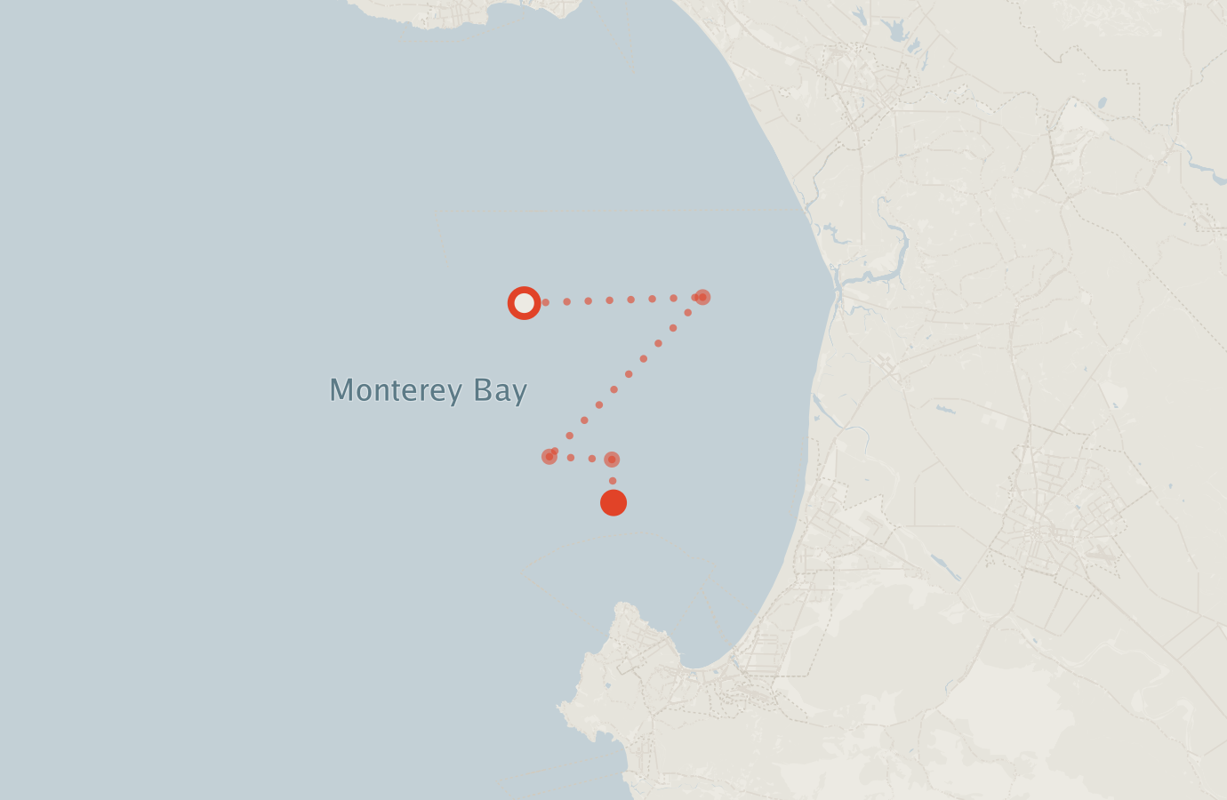 Activity map — real sighting points on an OpenStreetMap basemap
