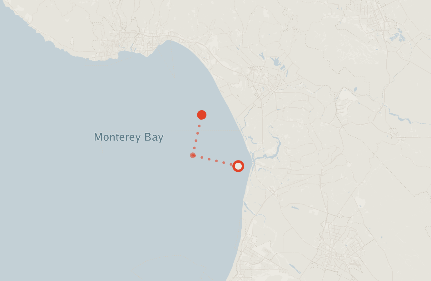 Activity map — real sighting points on an OpenStreetMap basemap