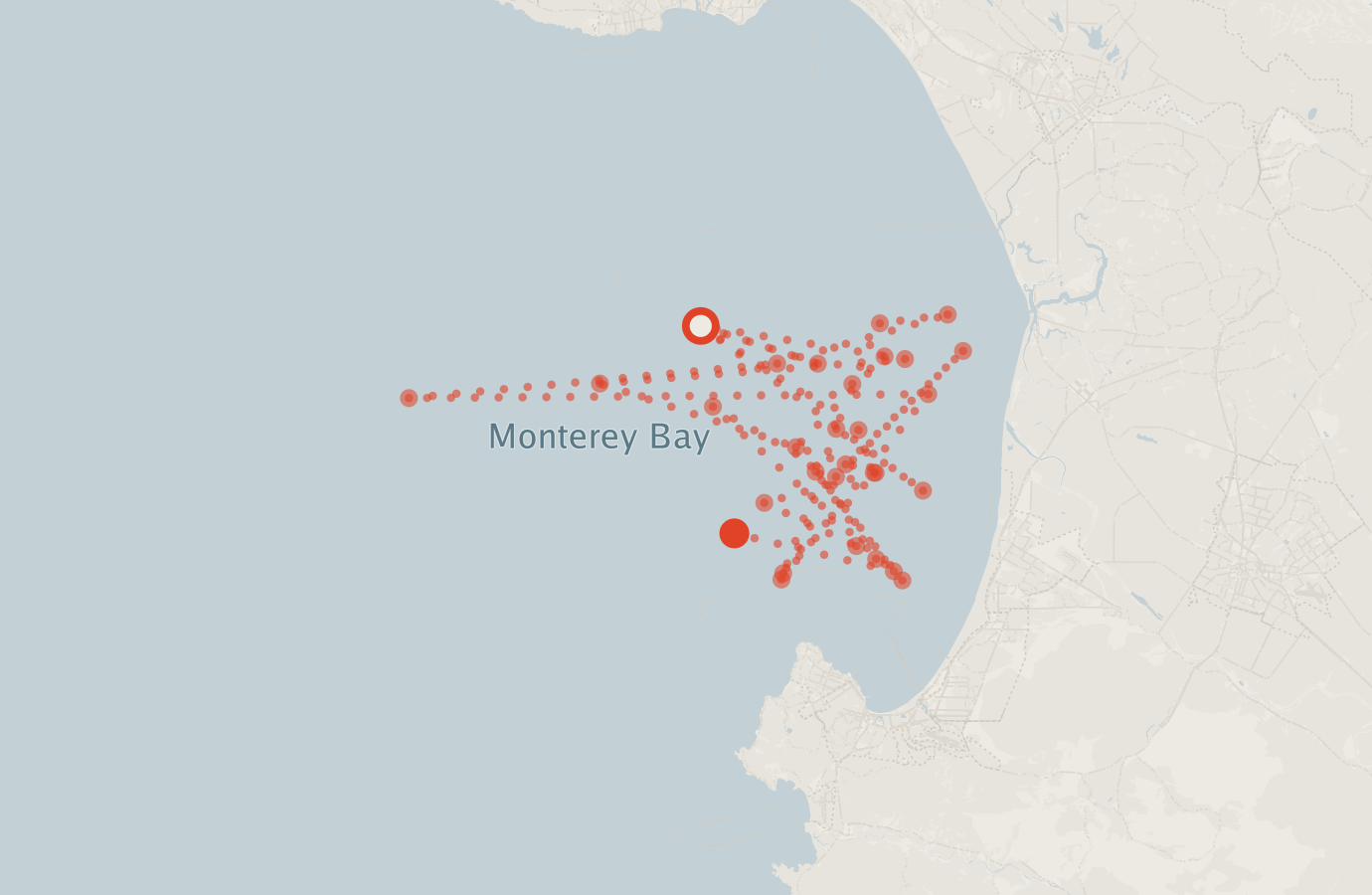 Activity map — real sighting points on an OpenStreetMap basemap