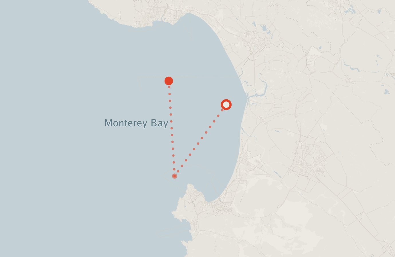 Activity map — real sighting points on an OpenStreetMap basemap