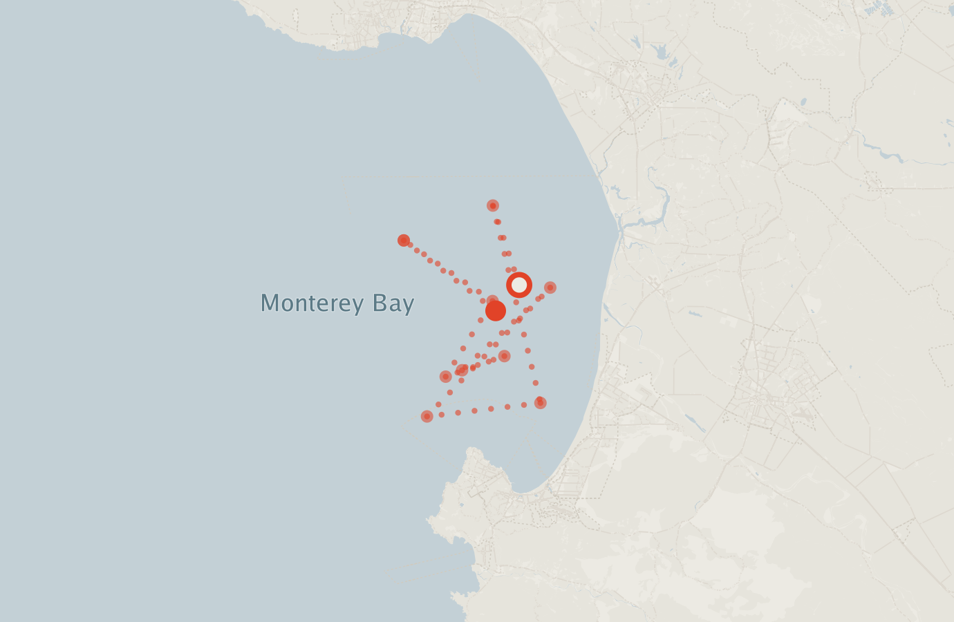 Activity map — real sighting points on an OpenStreetMap basemap