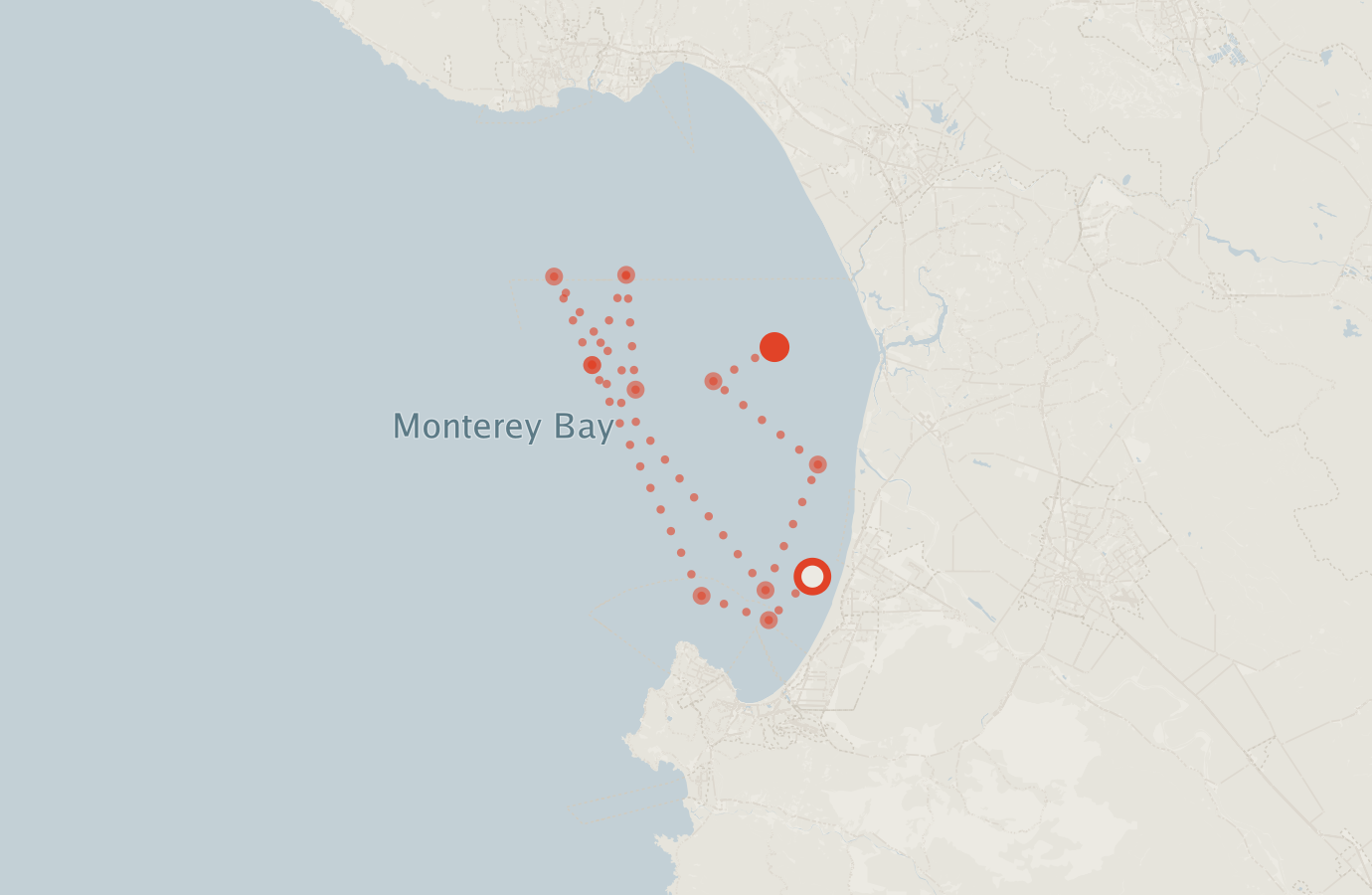 Activity map — real sighting points on an OpenStreetMap basemap