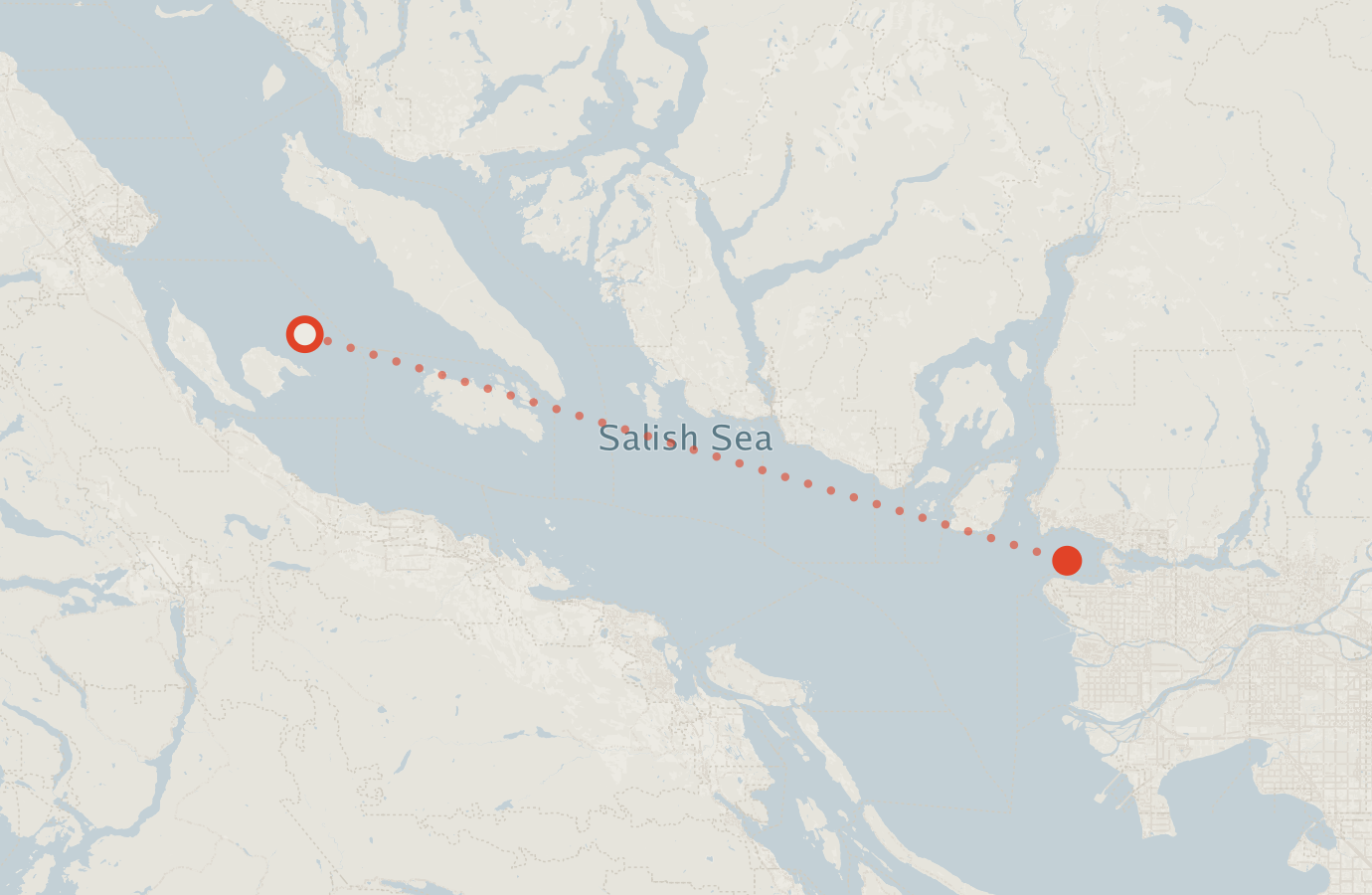 Activity map — real sighting points on an OpenStreetMap basemap