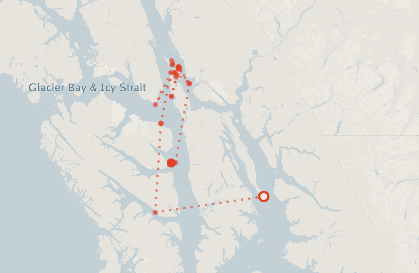 Activity map — real sighting points on an OpenStreetMap basemap