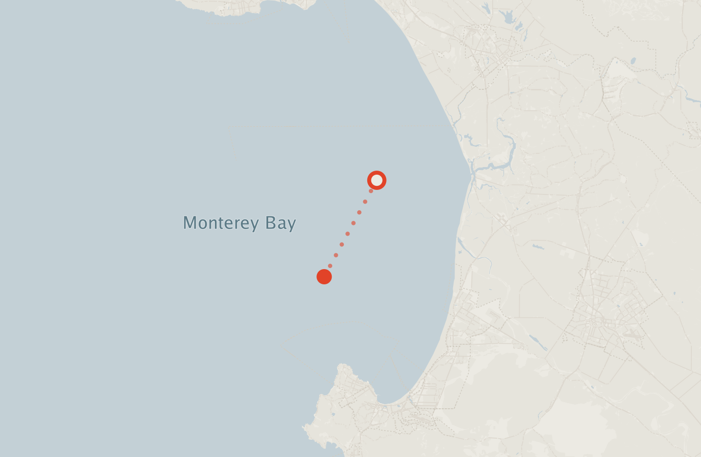 Activity map — real sighting points on an OpenStreetMap basemap