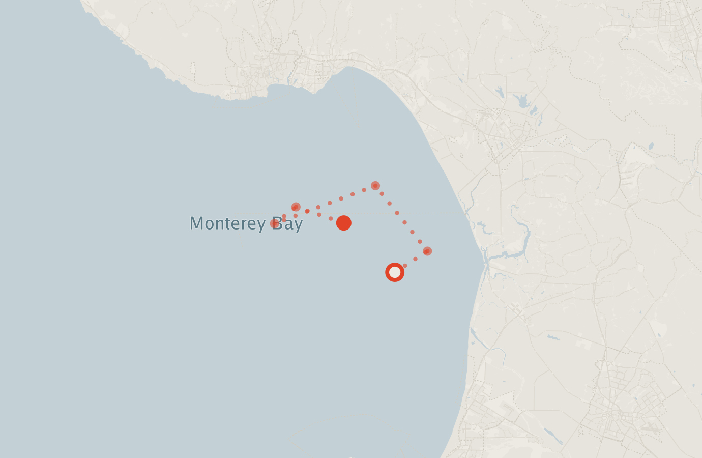 Activity map — real sighting points on an OpenStreetMap basemap