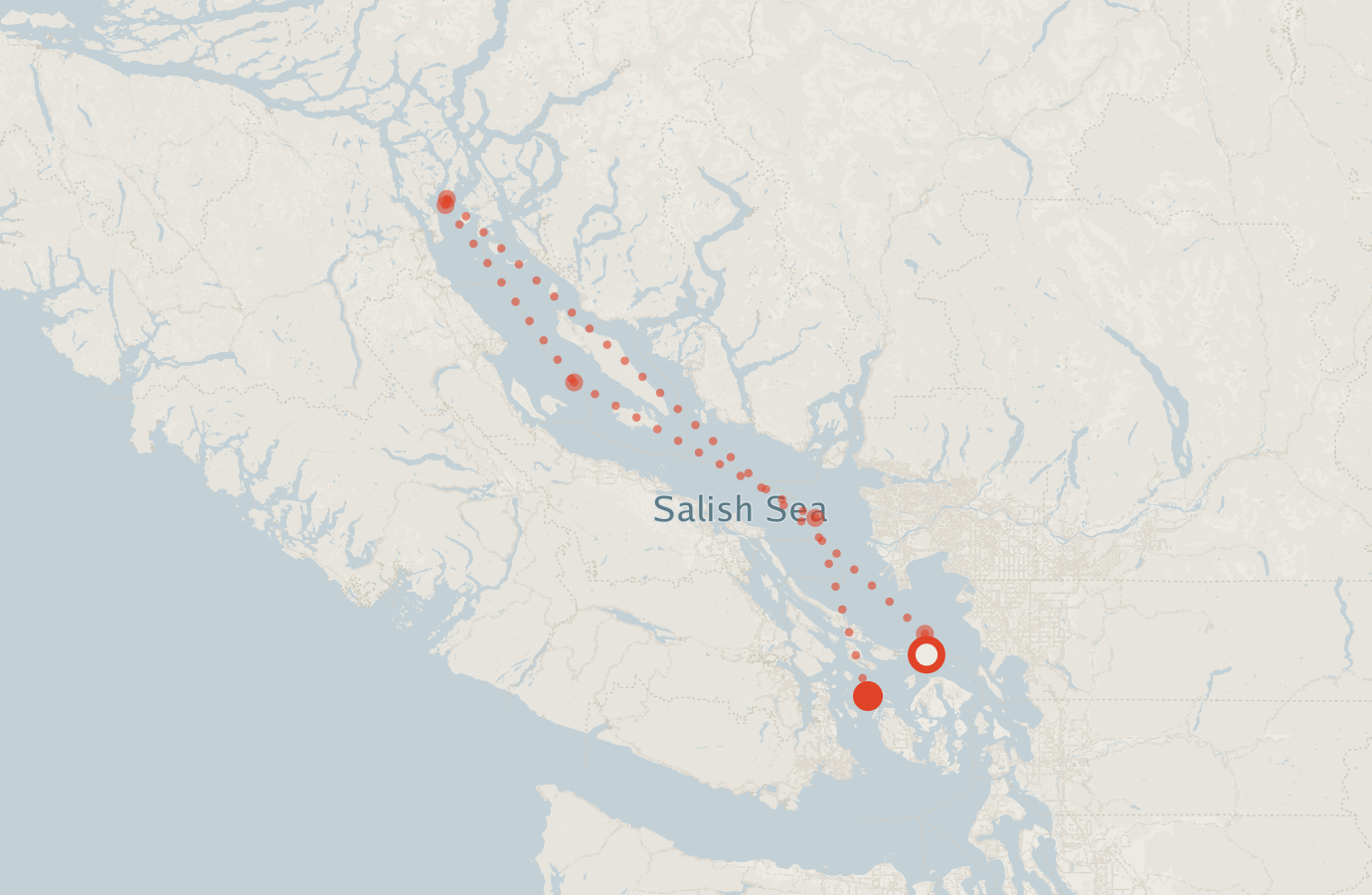 Activity map — real sighting points on an OpenStreetMap basemap