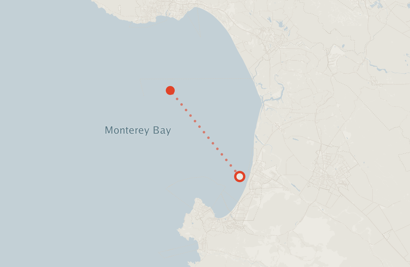 Activity map — real sighting points on an OpenStreetMap basemap
