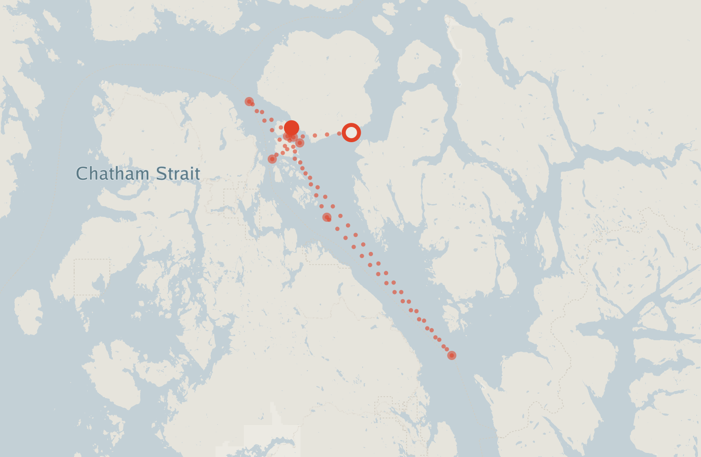 Activity map — real sighting points on an OpenStreetMap basemap