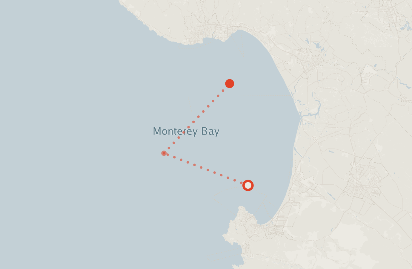 Activity map — real sighting points on an OpenStreetMap basemap