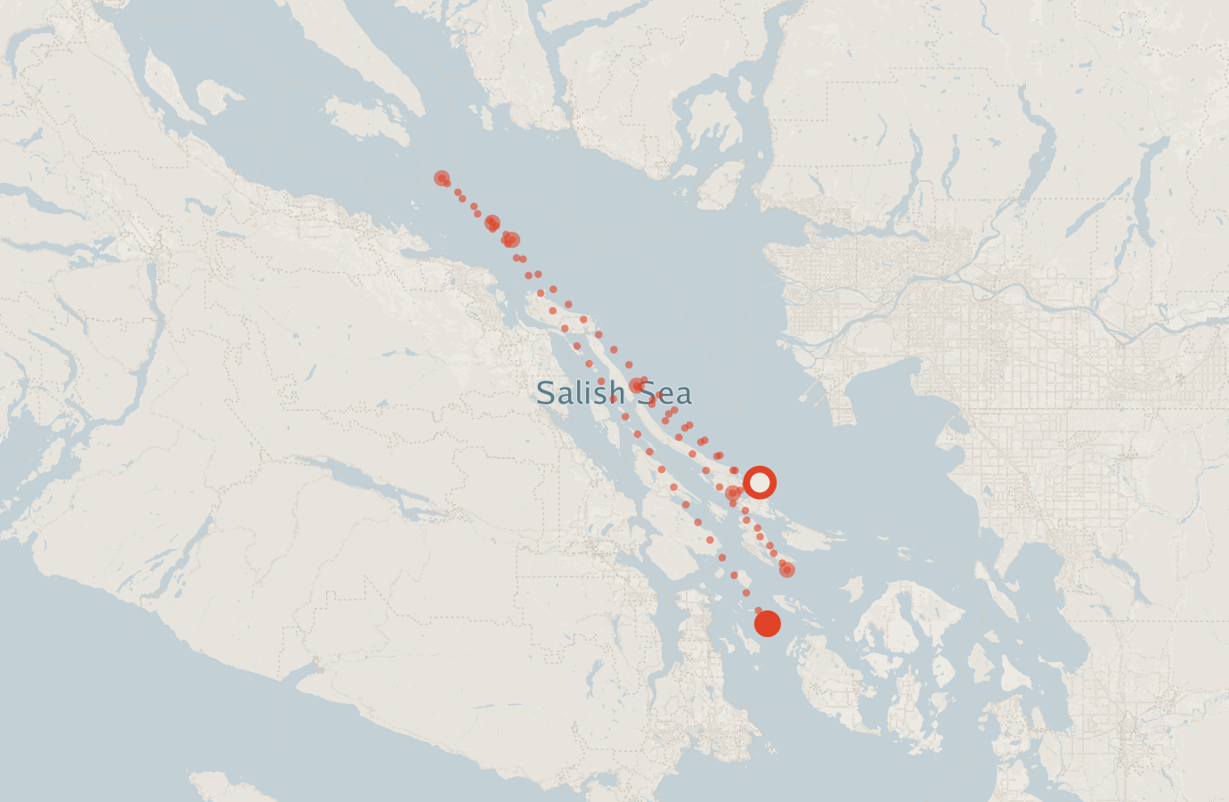 Activity map — real sighting points on an OpenStreetMap basemap