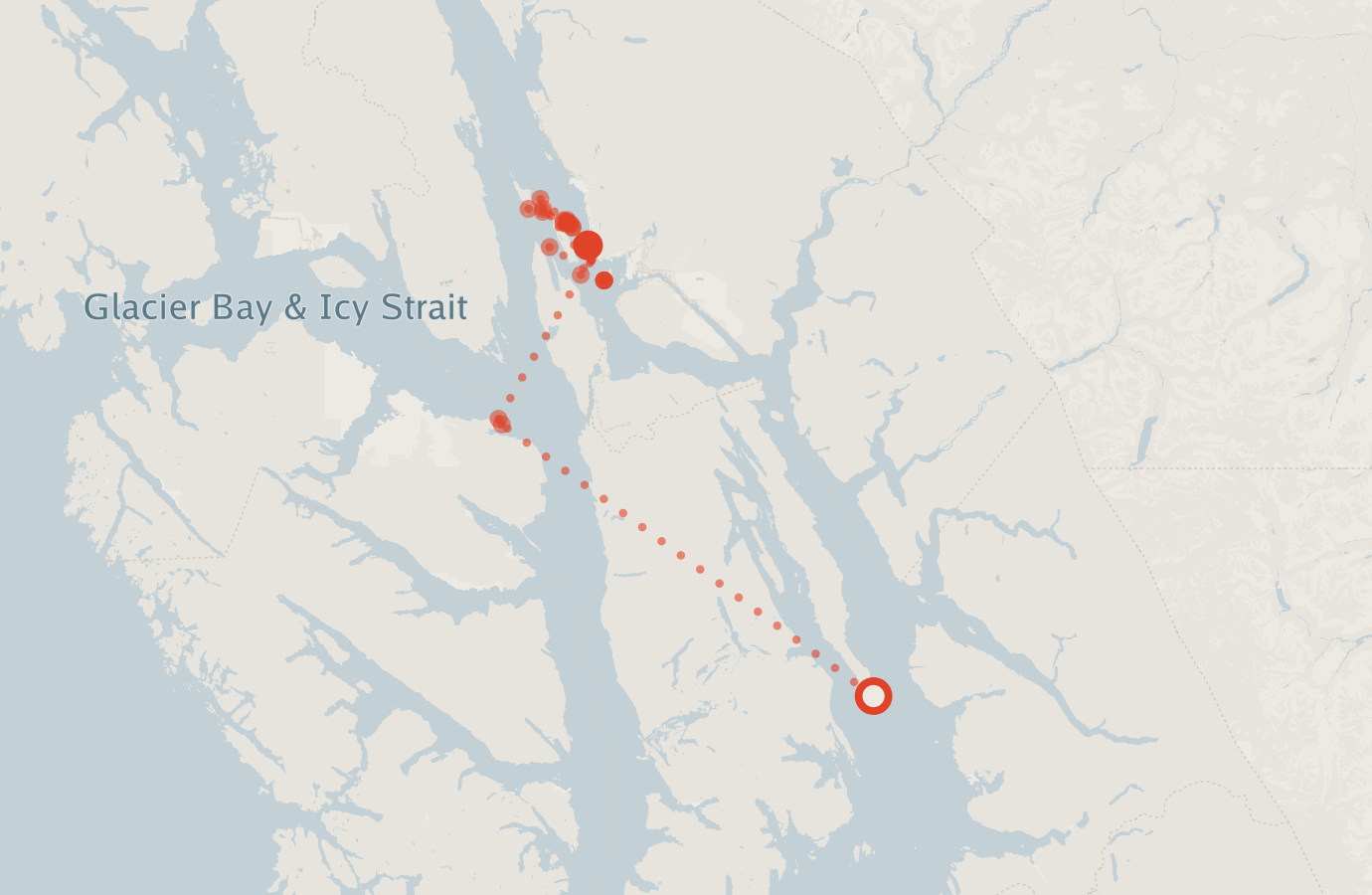 Activity map — real sighting points on an OpenStreetMap basemap