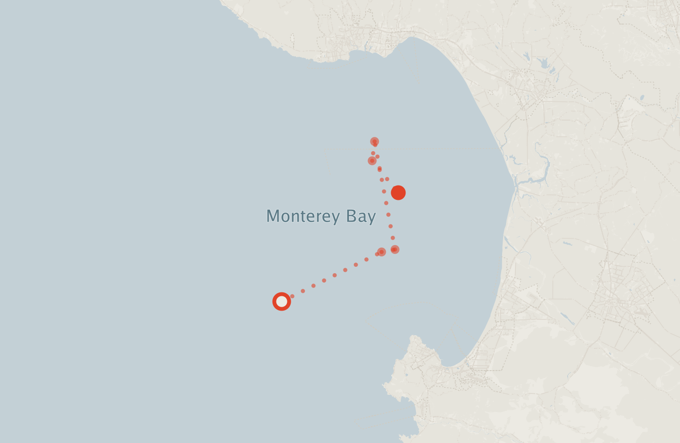 Activity map — real sighting points on an OpenStreetMap basemap