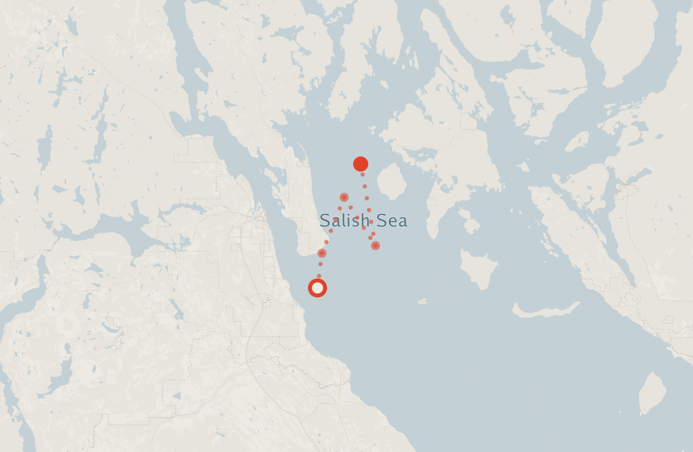 Activity map — real sighting points on an OpenStreetMap basemap