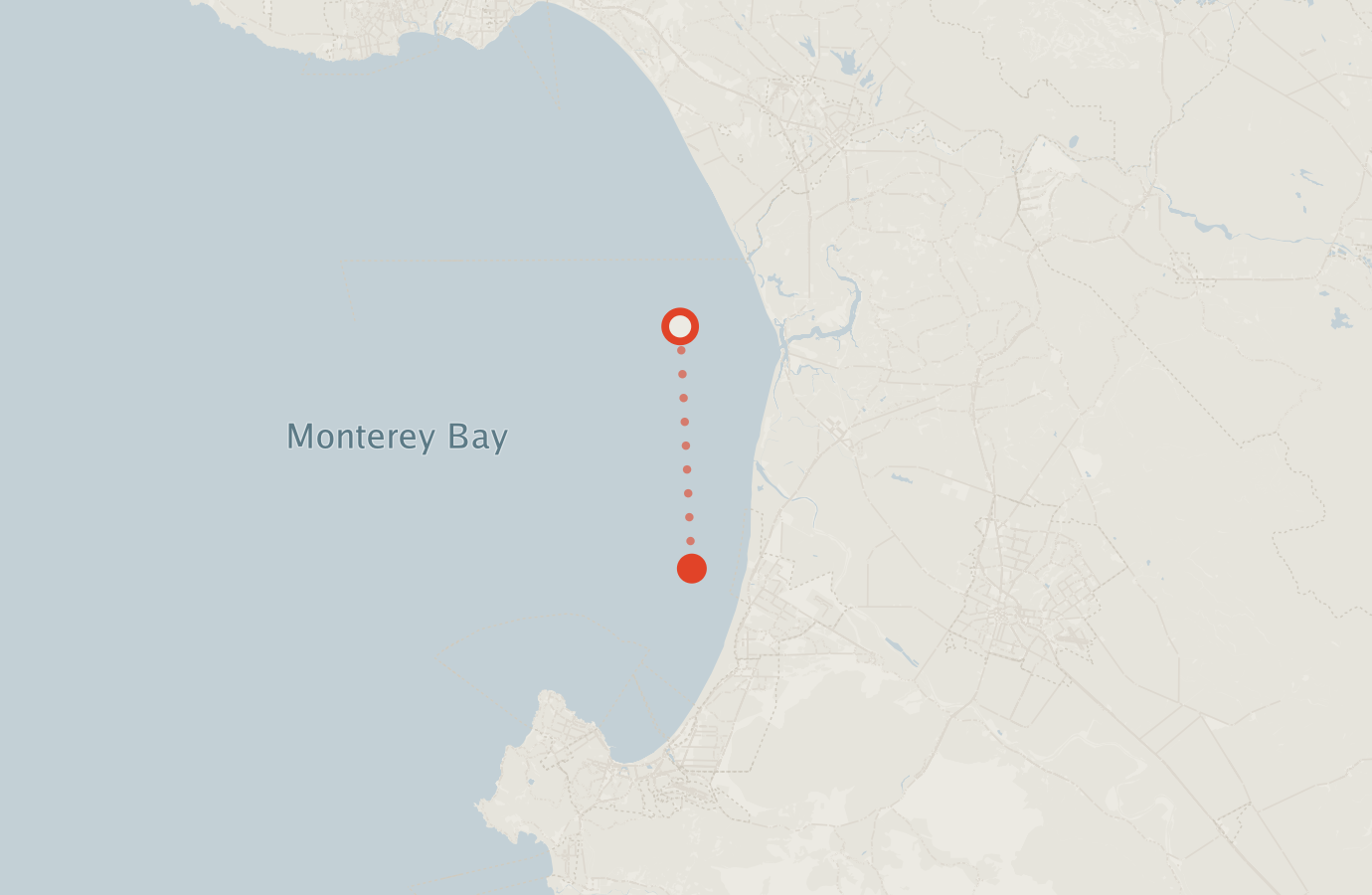 Activity map — real sighting points on an OpenStreetMap basemap