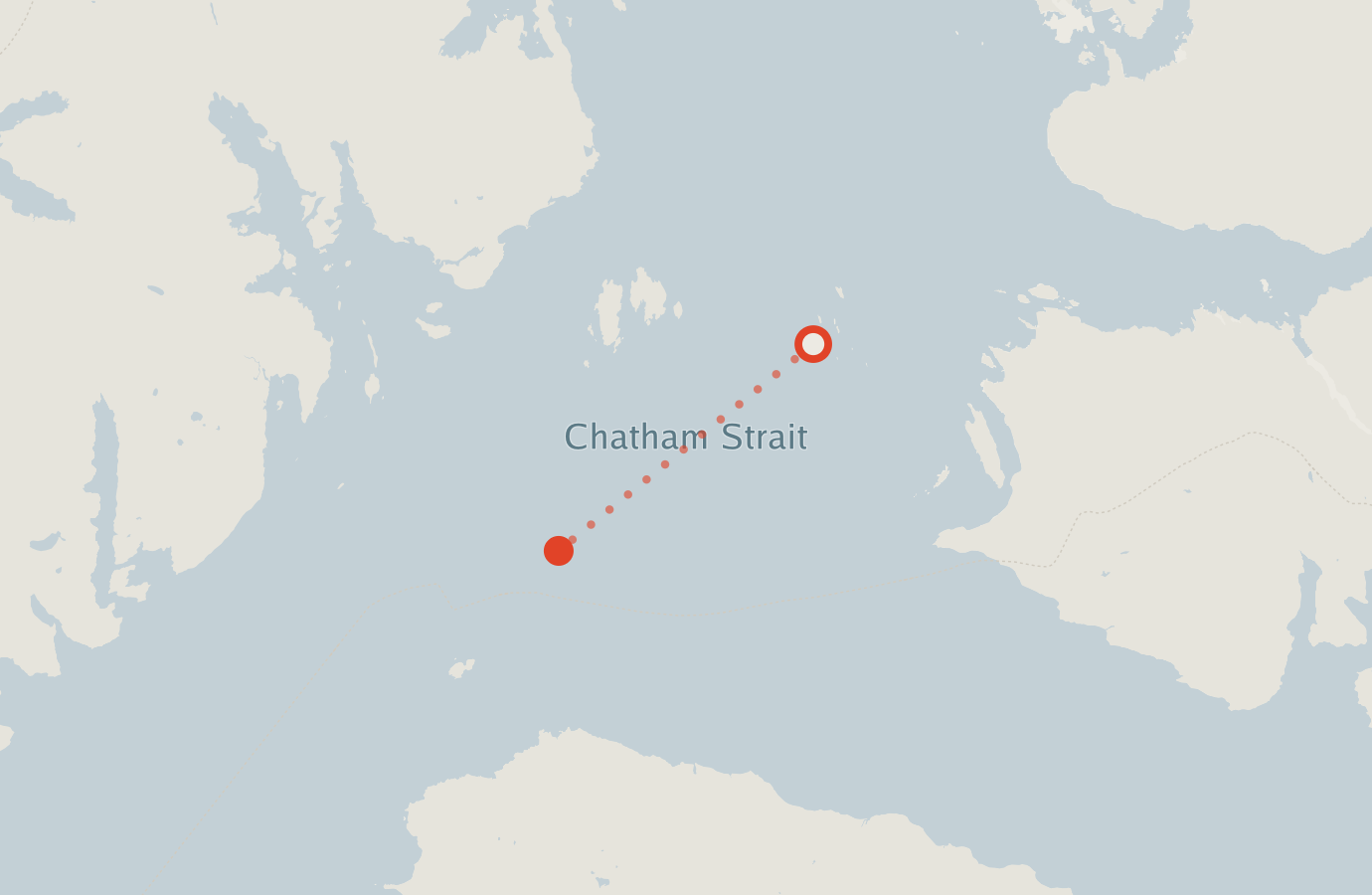 Activity map — real sighting points on an OpenStreetMap basemap